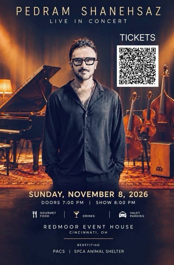 Pedram_concert